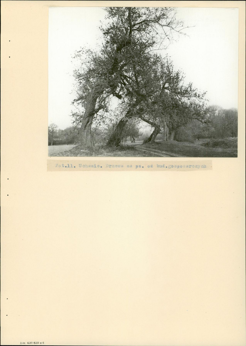 Ewidencja parkowa, skan nr 23