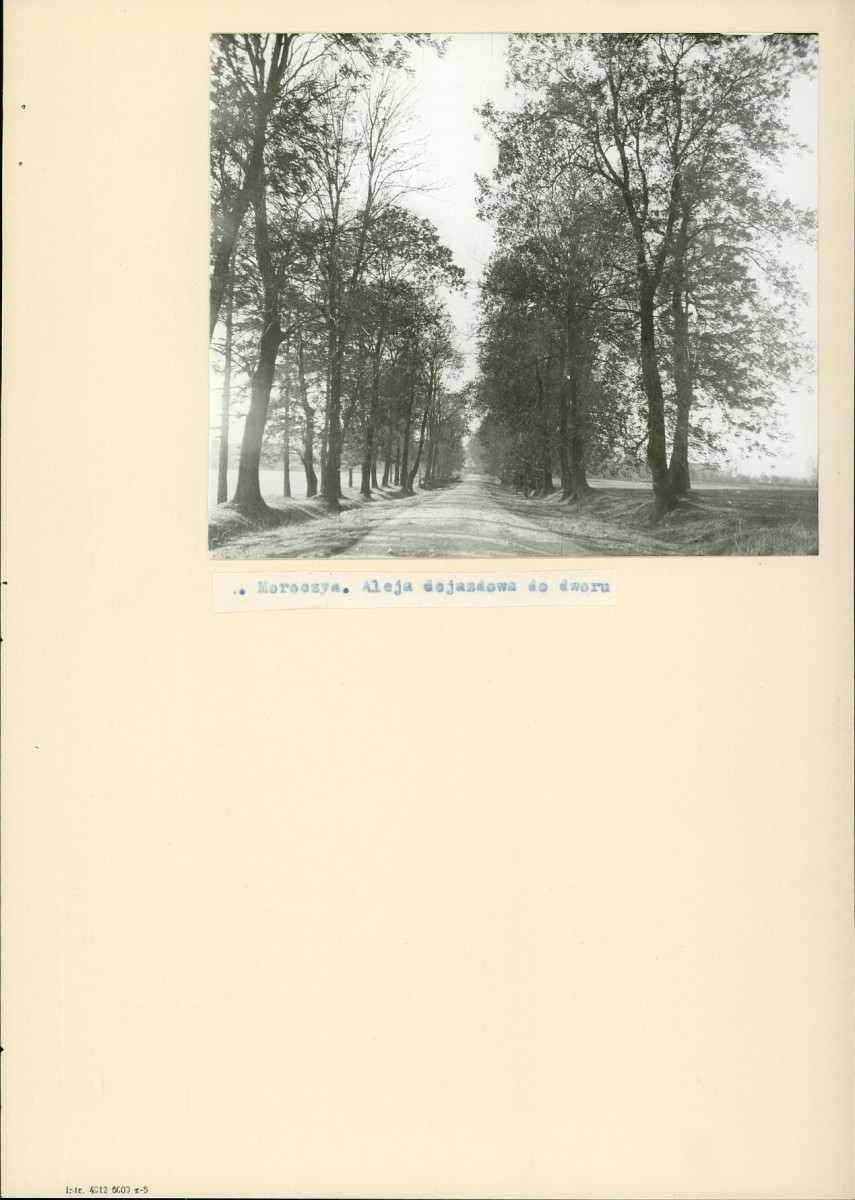 EP - Ewidencja parkowa, skan nr 13