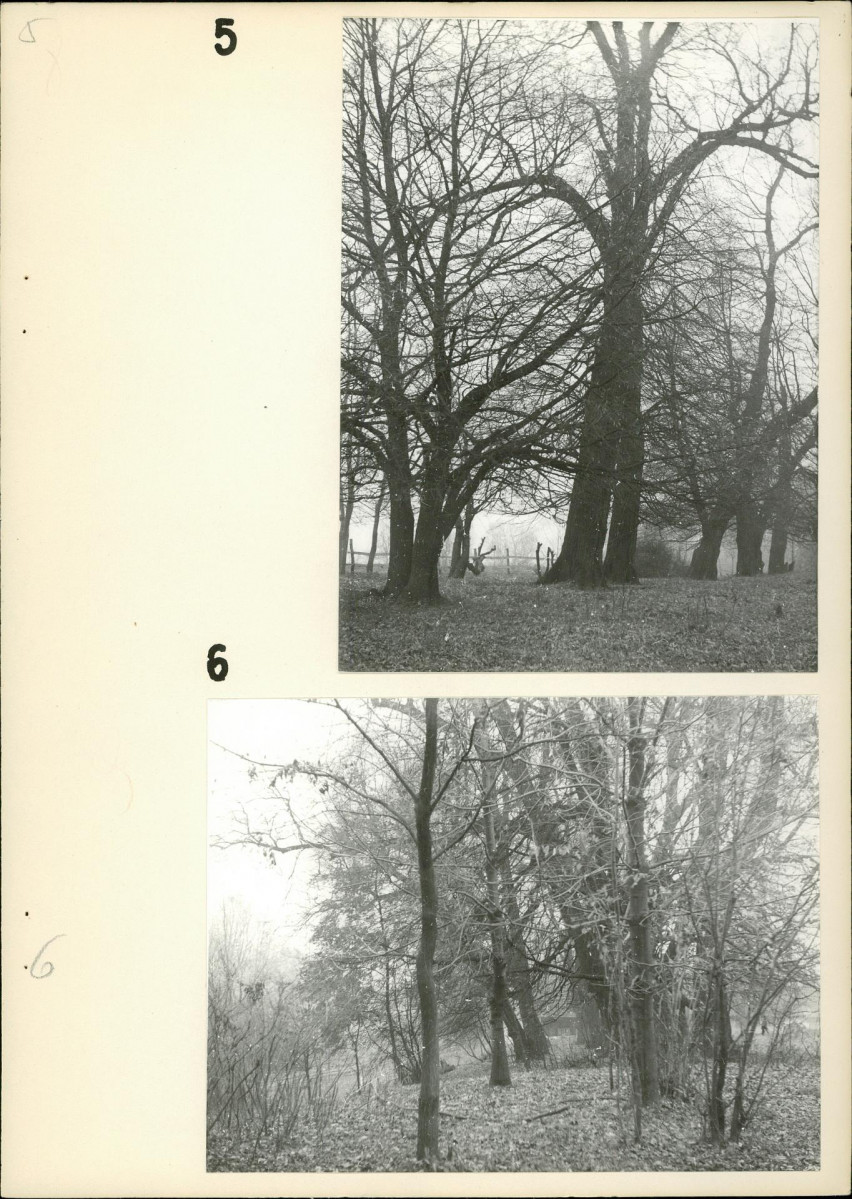 EP - Ewidencja parkowa, skan nr 19