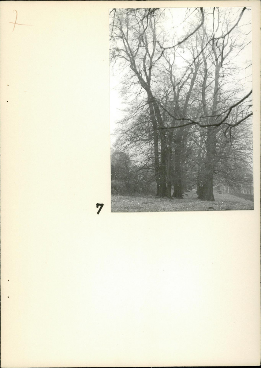 EP - Ewidencja parkowa, skan nr 20