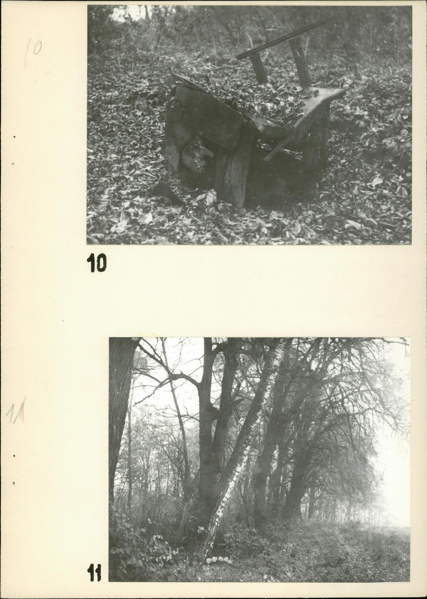 EP - Ewidencja parkowa, skan nr 22