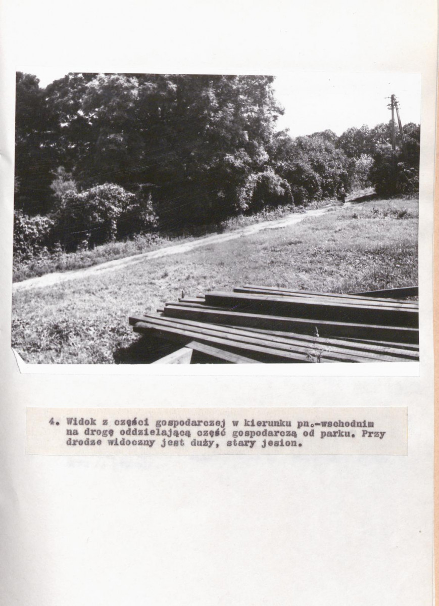 Ewidencja parkowa, skan nr 32