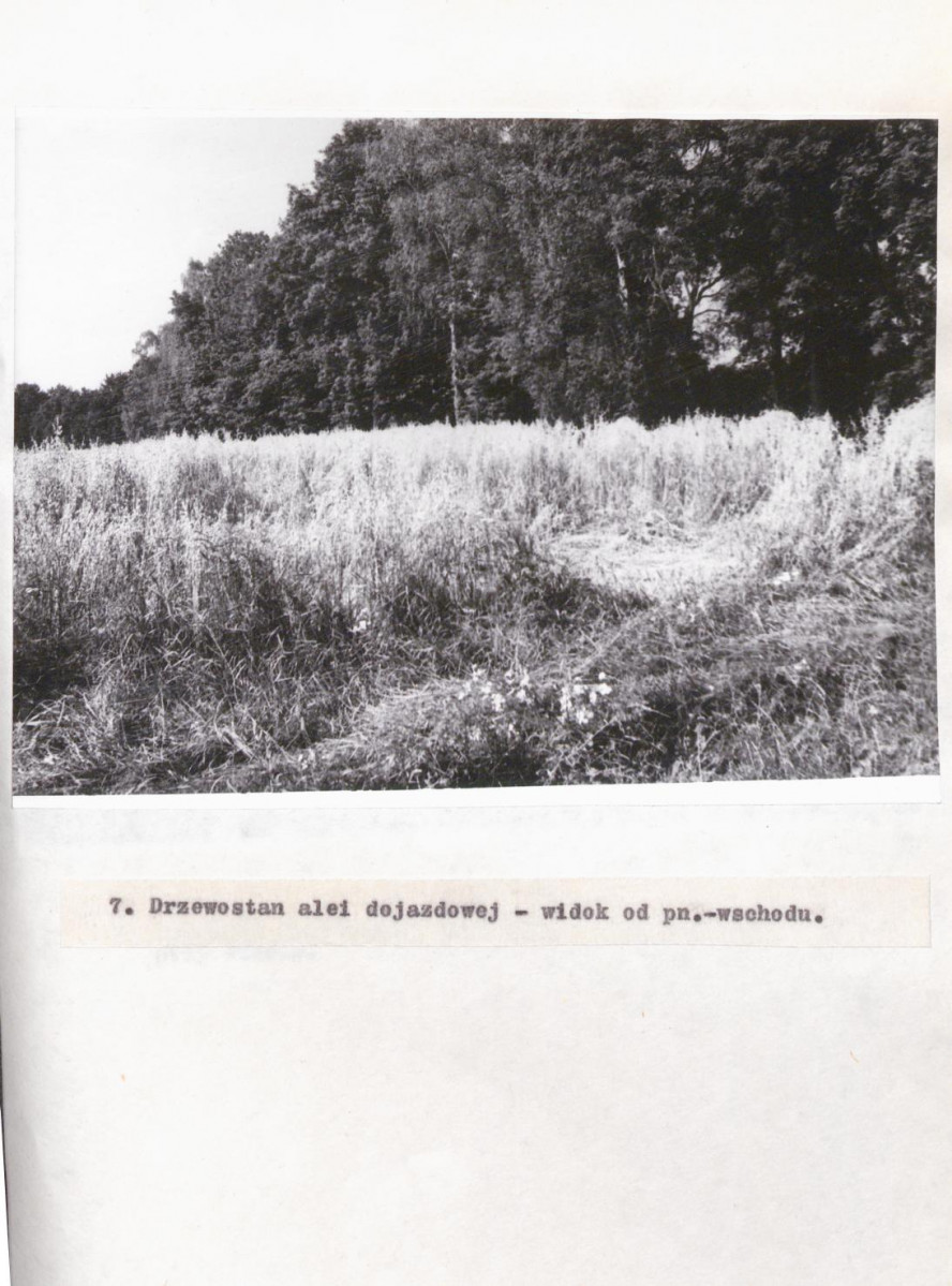 Ewidencja parkowa, skan nr 35