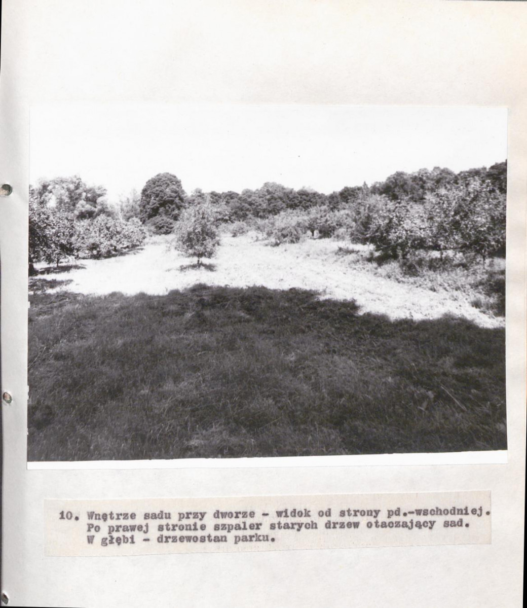 Ewidencja parkowa, skan nr 38