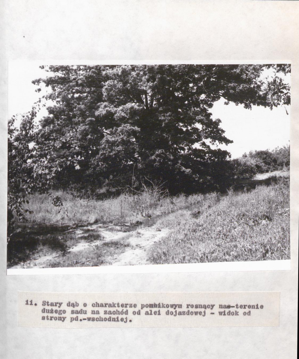 Ewidencja parkowa, skan nr 39