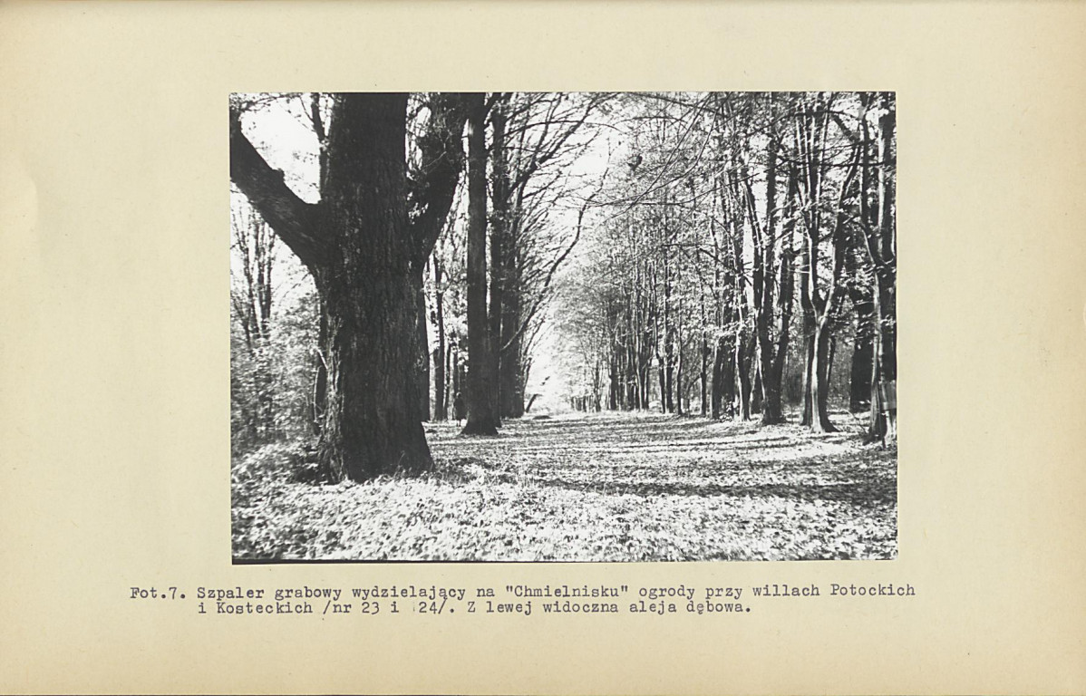 EP - Ewidencja parkowa, skan nr 74