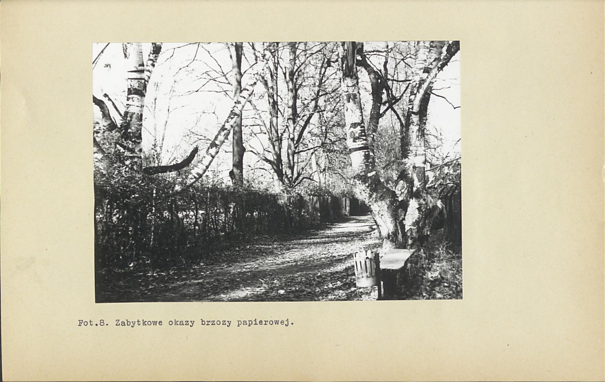 EP - Ewidencja parkowa, skan nr 75