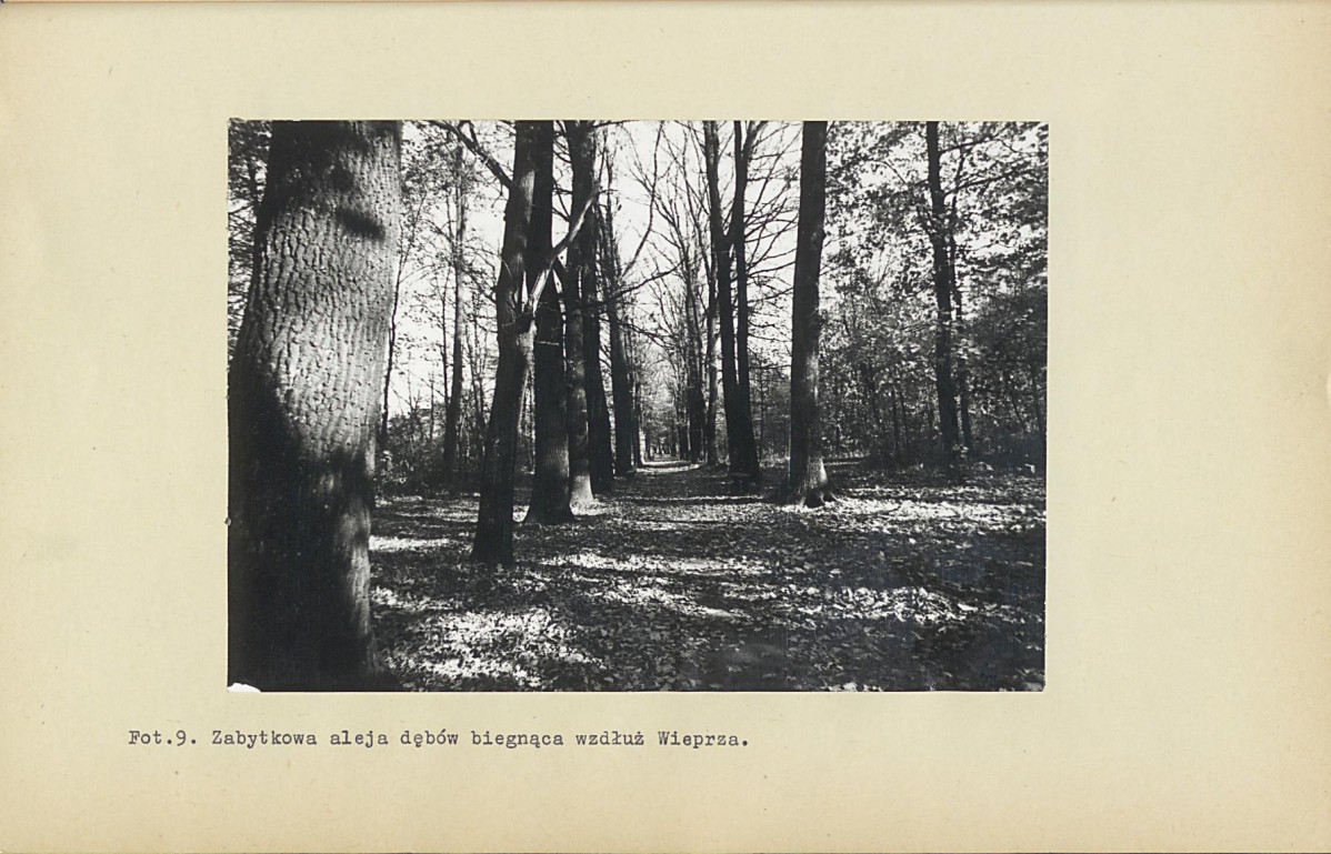 EP - Ewidencja parkowa, skan nr 76
