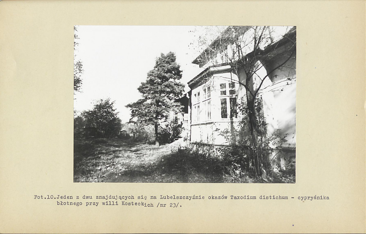 EP - Ewidencja parkowa, skan nr 77