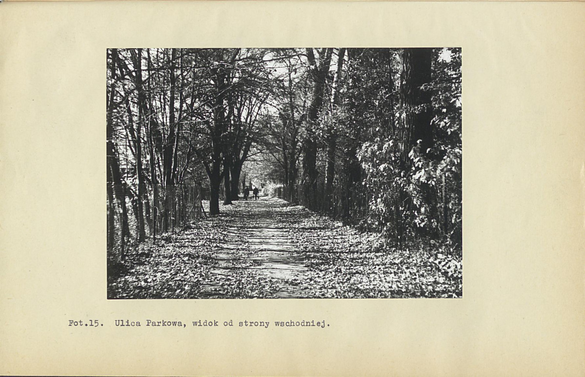 EP - Ewidencja parkowa, skan nr 82