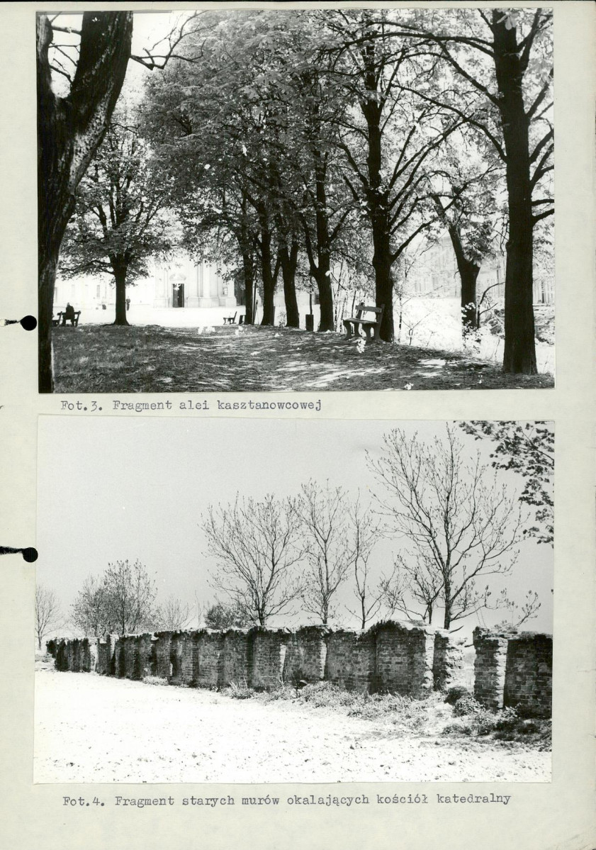 Ewidencja parkowa, skan nr 14