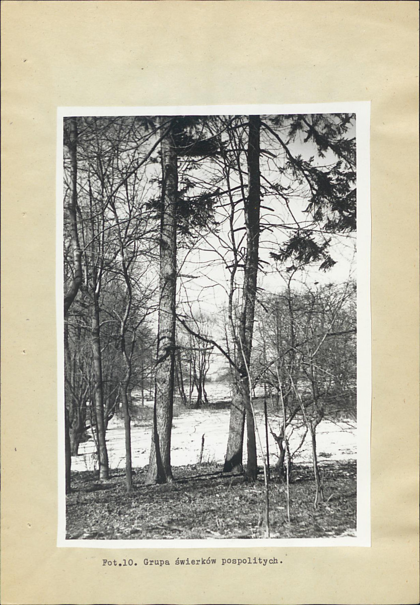 EP - Ewidencja parkowa, skan nr 33