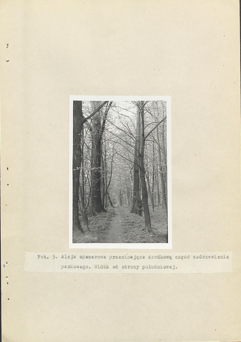 Ewidencja parkowa, skan nr 25