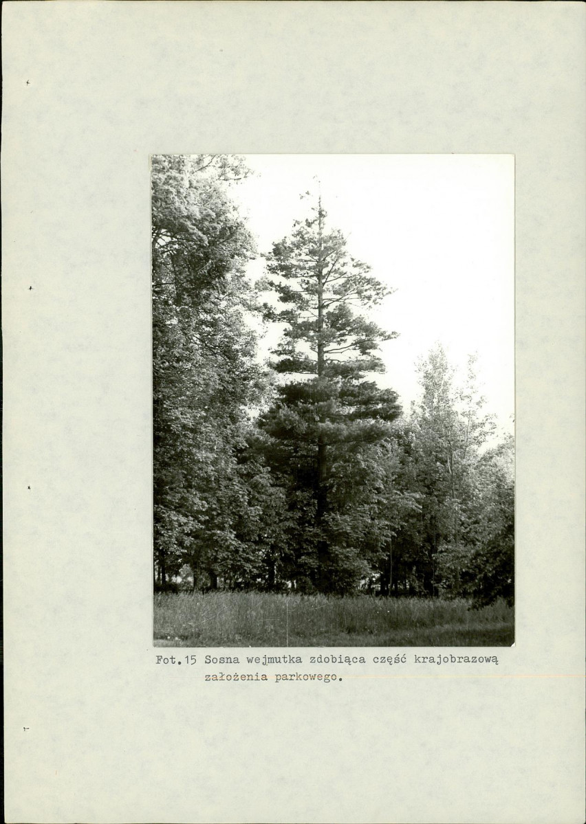 Ewidencja parkowa, skan nr 46
