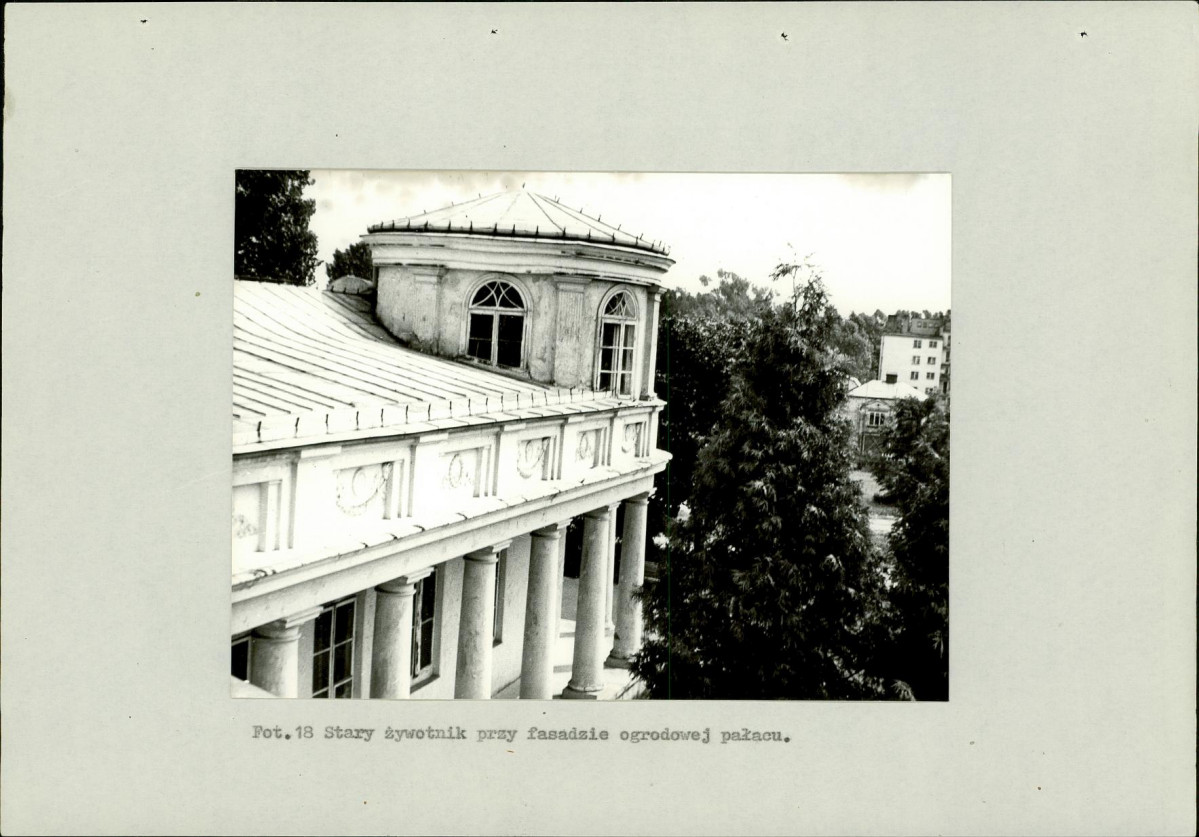 Ewidencja parkowa, skan nr 49