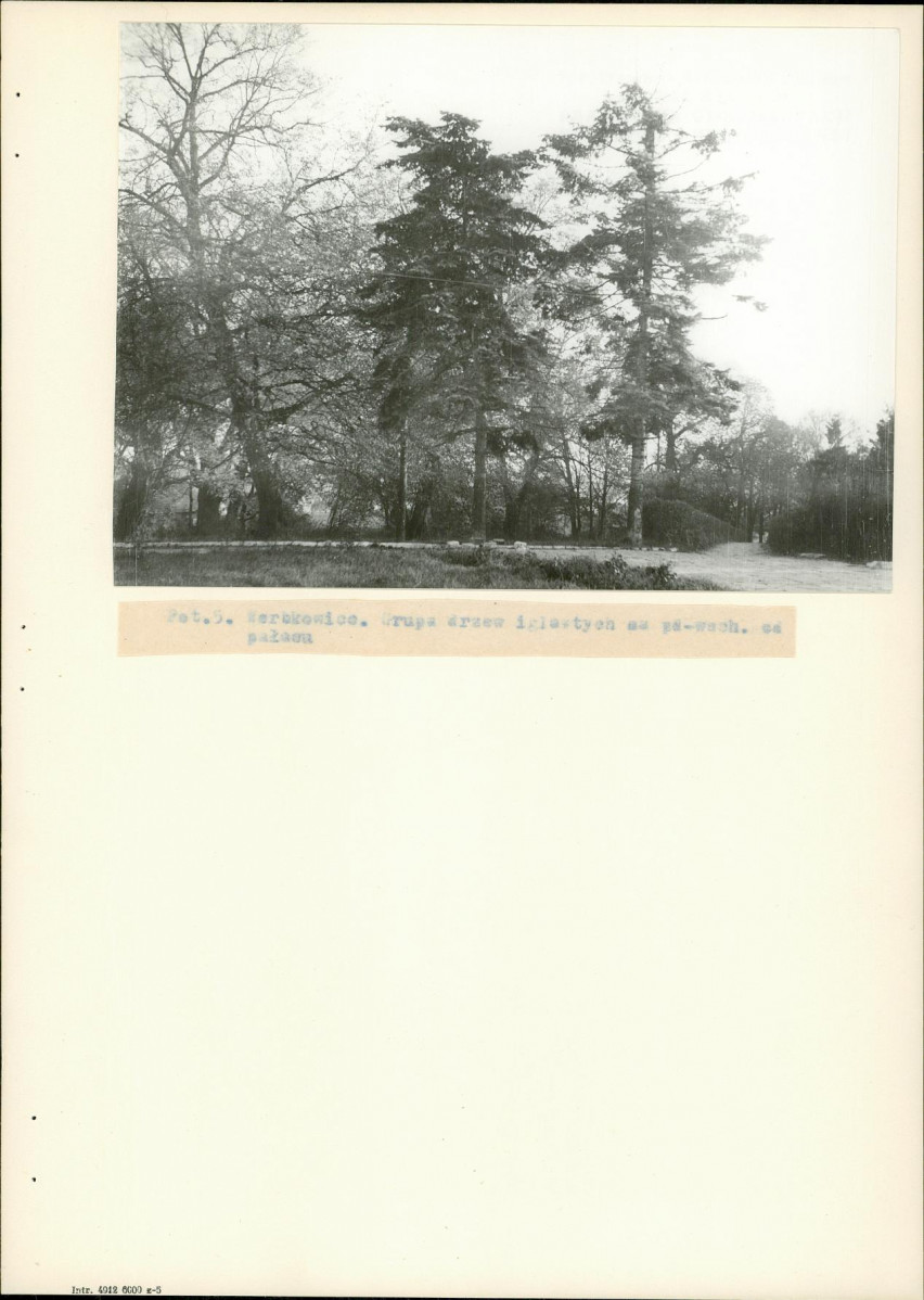 Ewidencja parkowa, skan nr 21