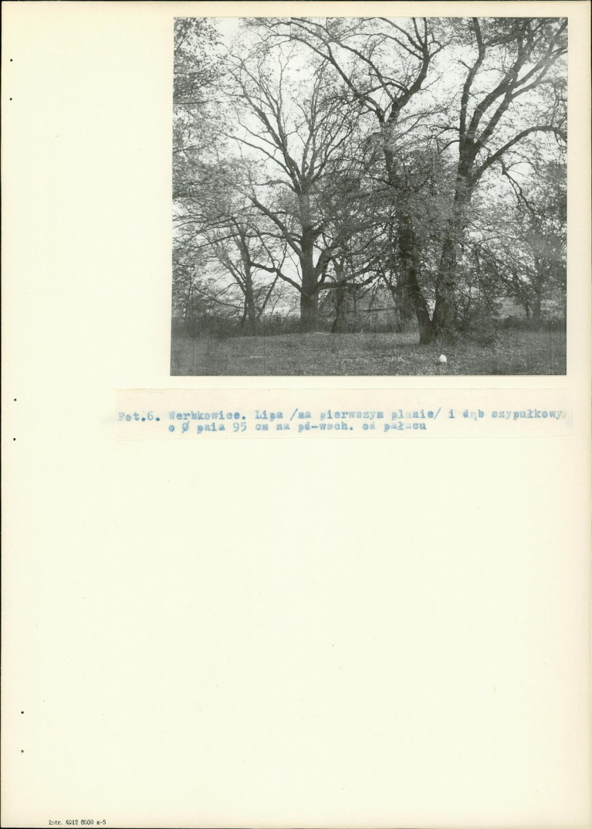 Ewidencja parkowa, skan nr 22