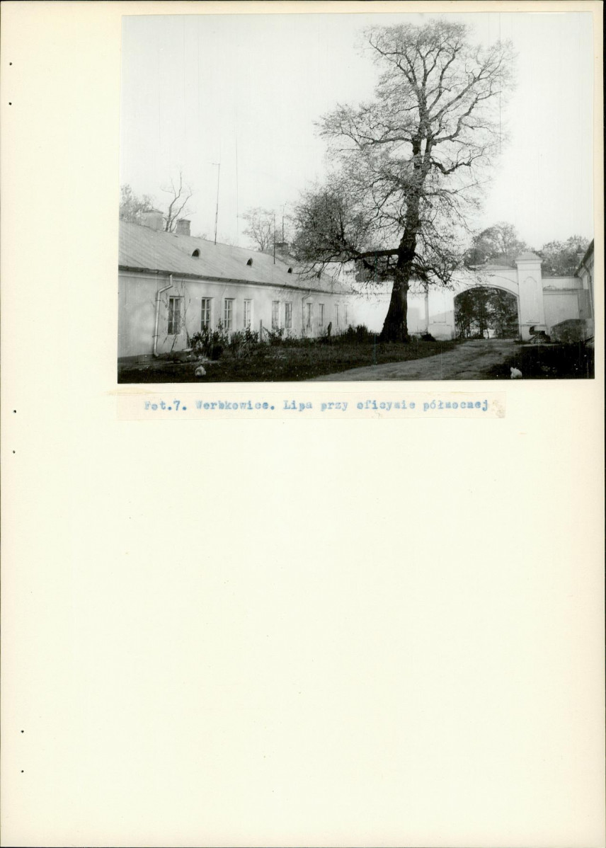 Ewidencja parkowa, skan nr 23