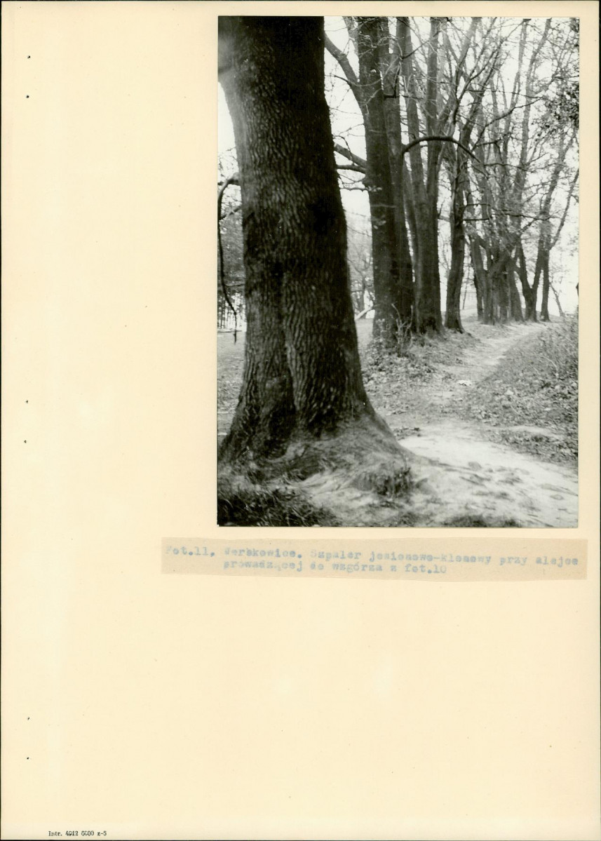 Ewidencja parkowa, skan nr 27