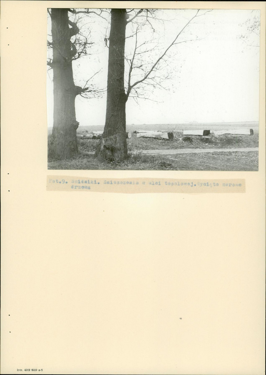 EP - Ewidencja parkowa, skan nr 20