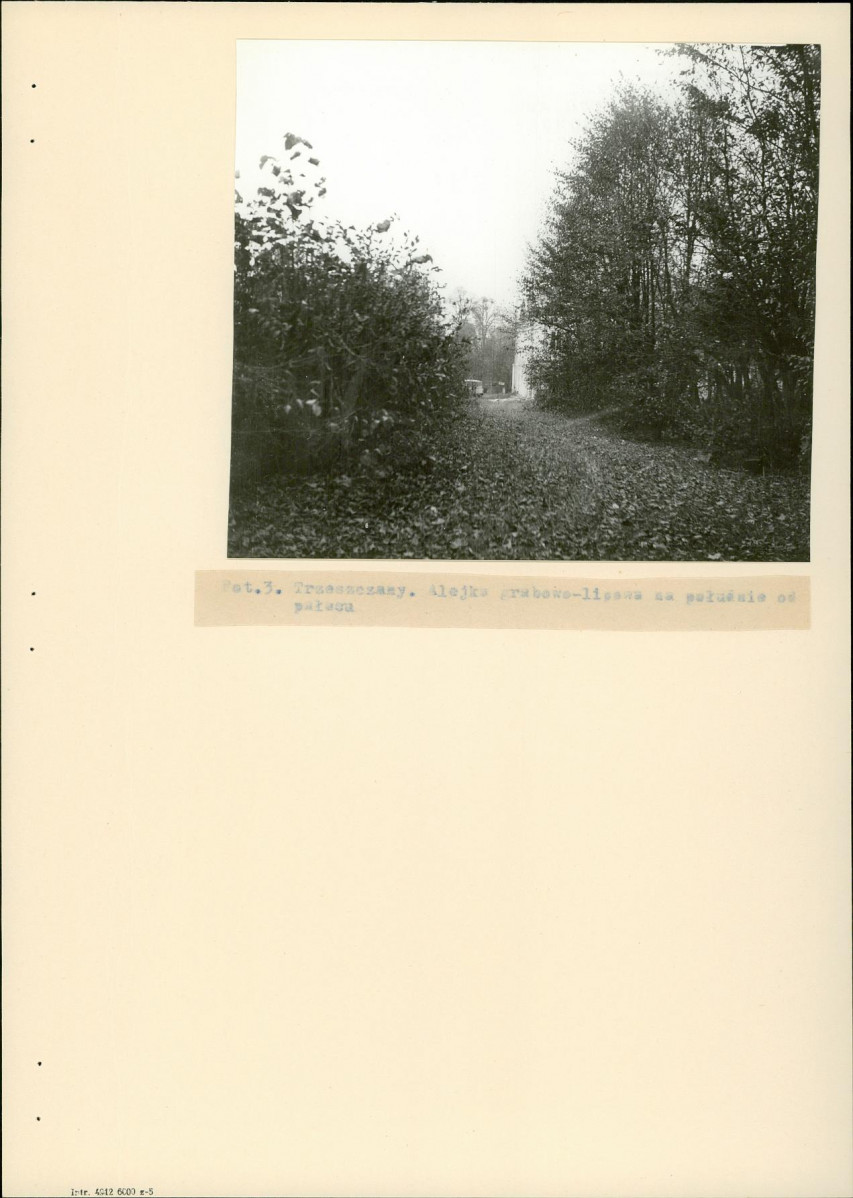 Ewidencja parkowa, skan nr 16