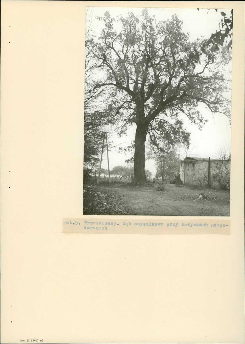 Ewidencja parkowa, skan nr 18