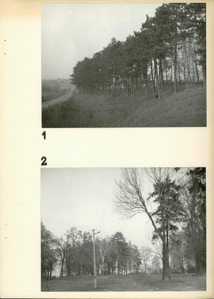 Ewidencja parkowa, skan nr 18