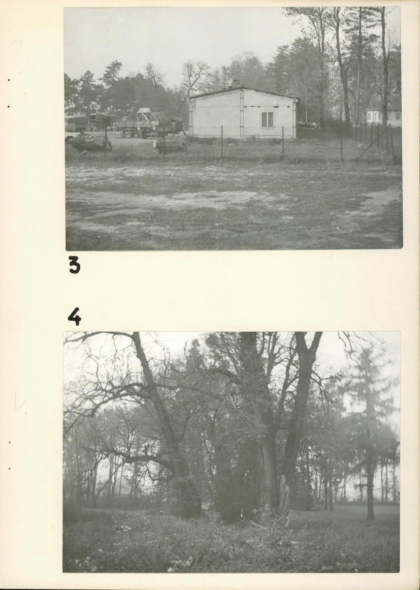Ewidencja parkowa, skan nr 19