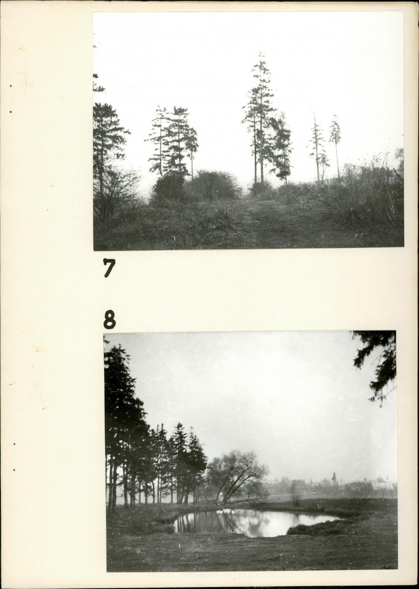 Ewidencja parkowa, skan nr 21
