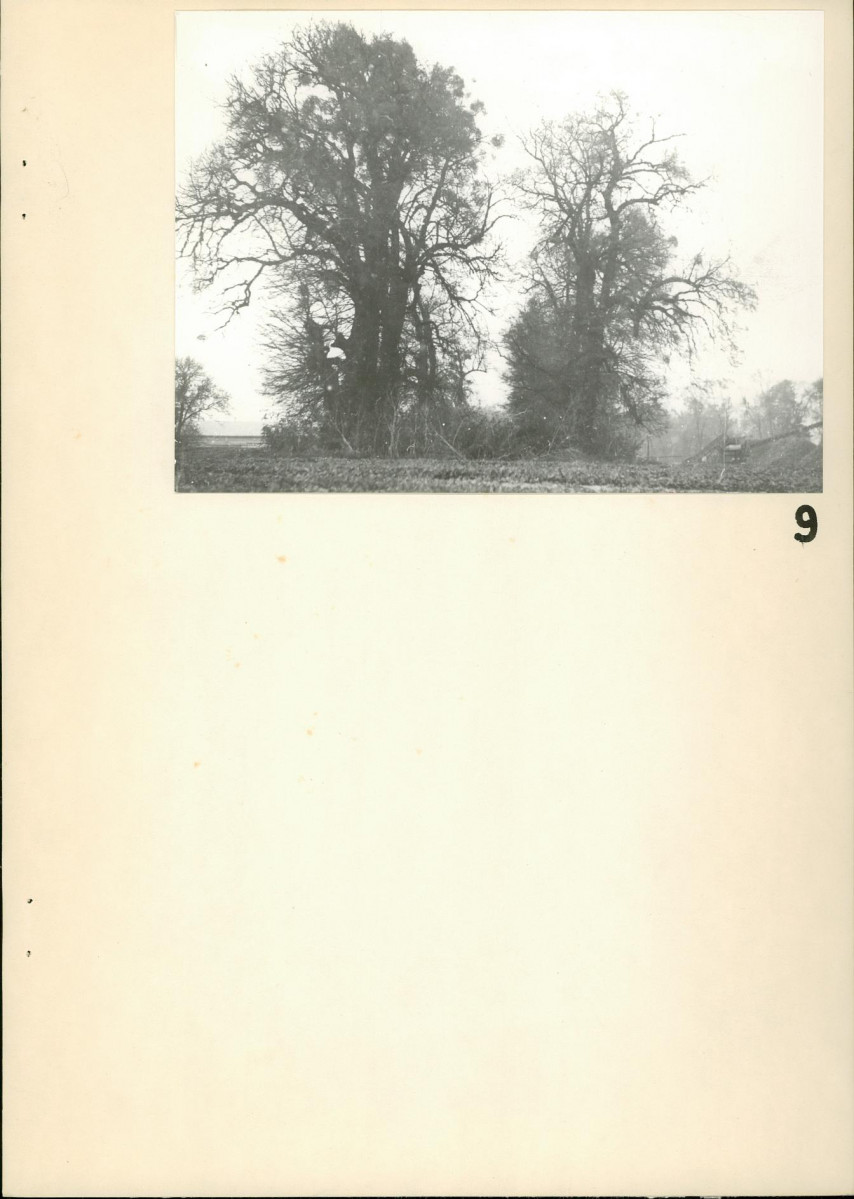 Ewidencja parkowa, skan nr 22