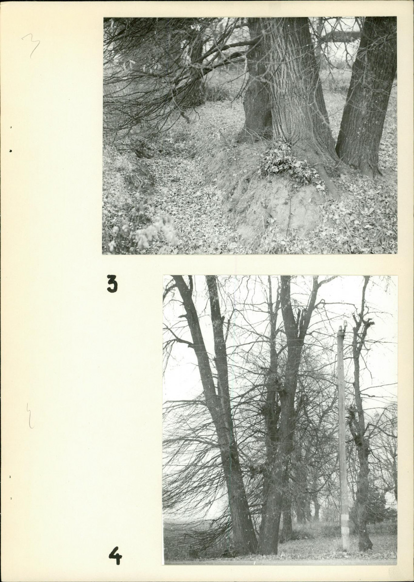 Ewidencja parkowa, skan nr 14