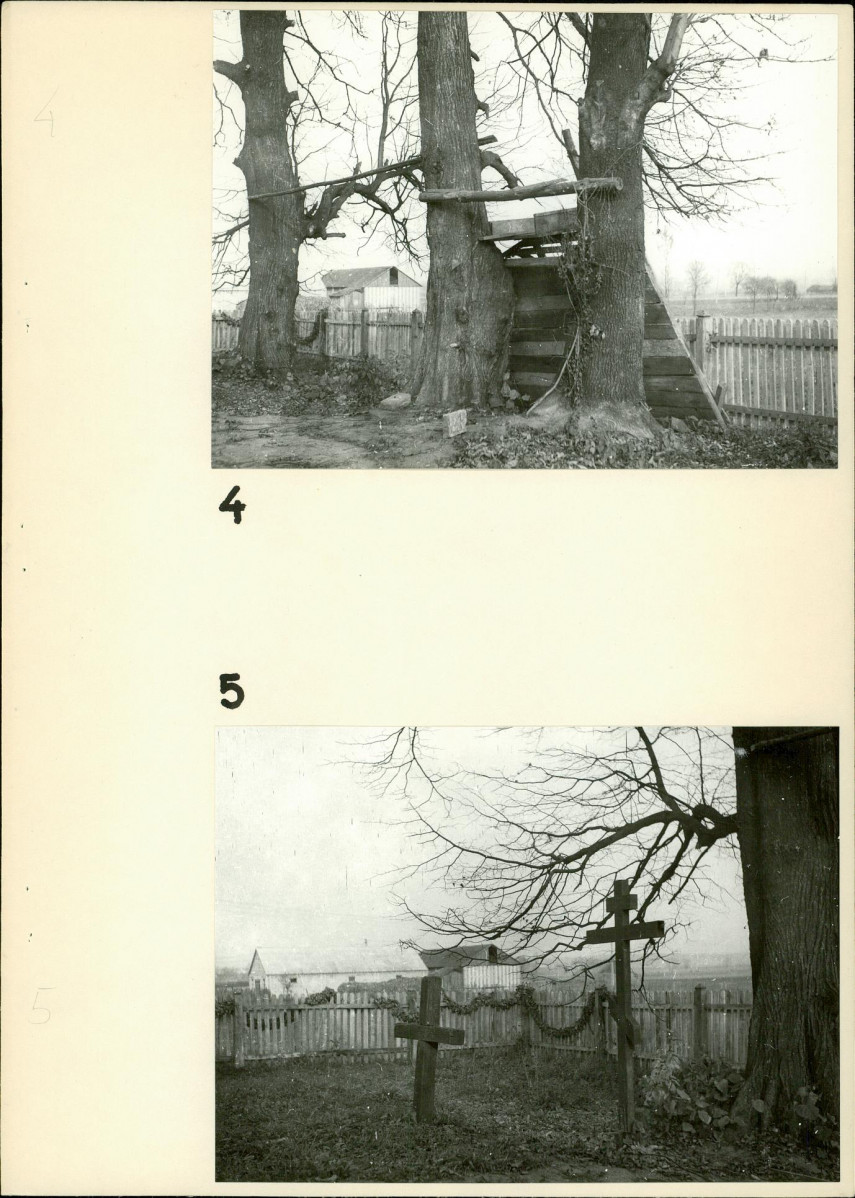 Ewidencja parkowa, skan nr 14