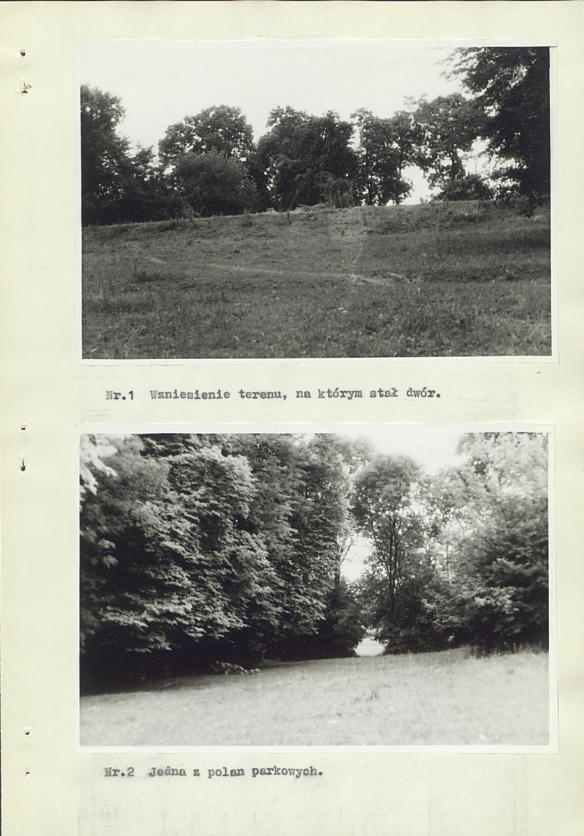 Ewidencja parkowa, skan nr 19