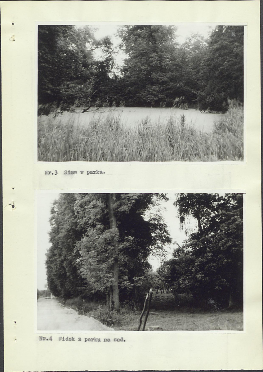 Ewidencja parkowa, skan nr 20