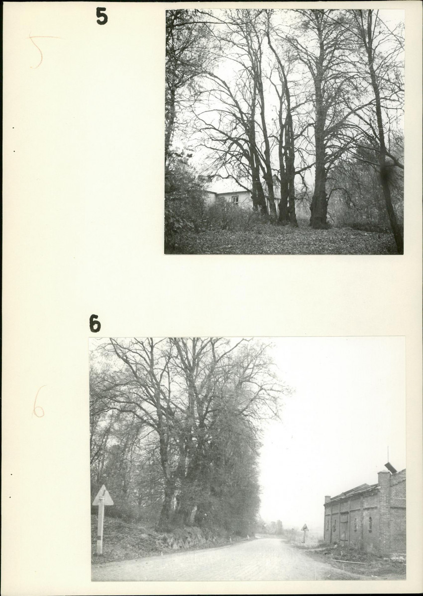 Ewidencja parkowa, skan nr 17