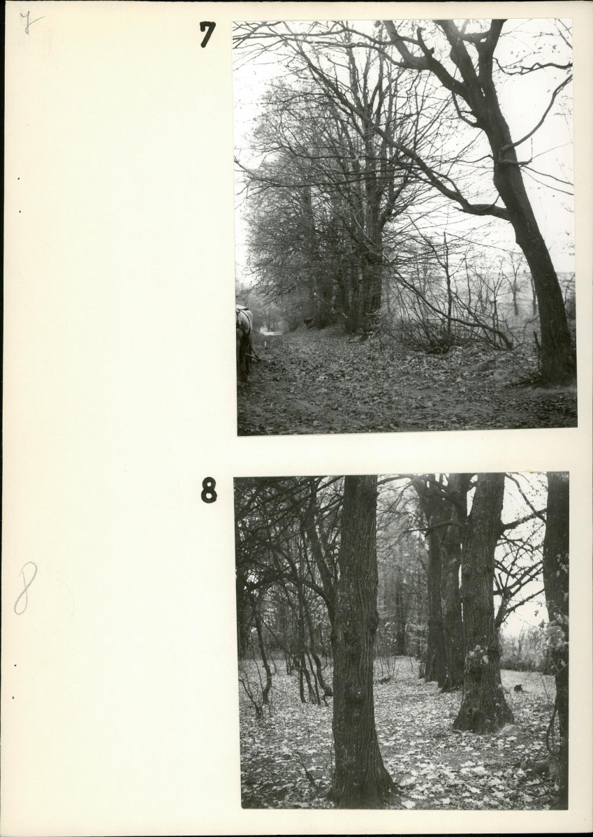 Ewidencja parkowa, skan nr 18