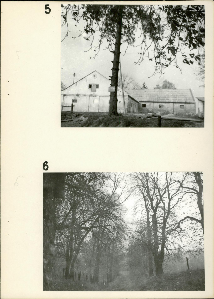 Ewidencja parkowa, skan nr 19