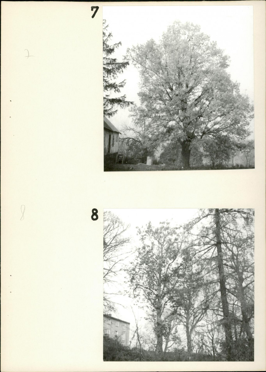 Ewidencja parkowa, skan nr 20