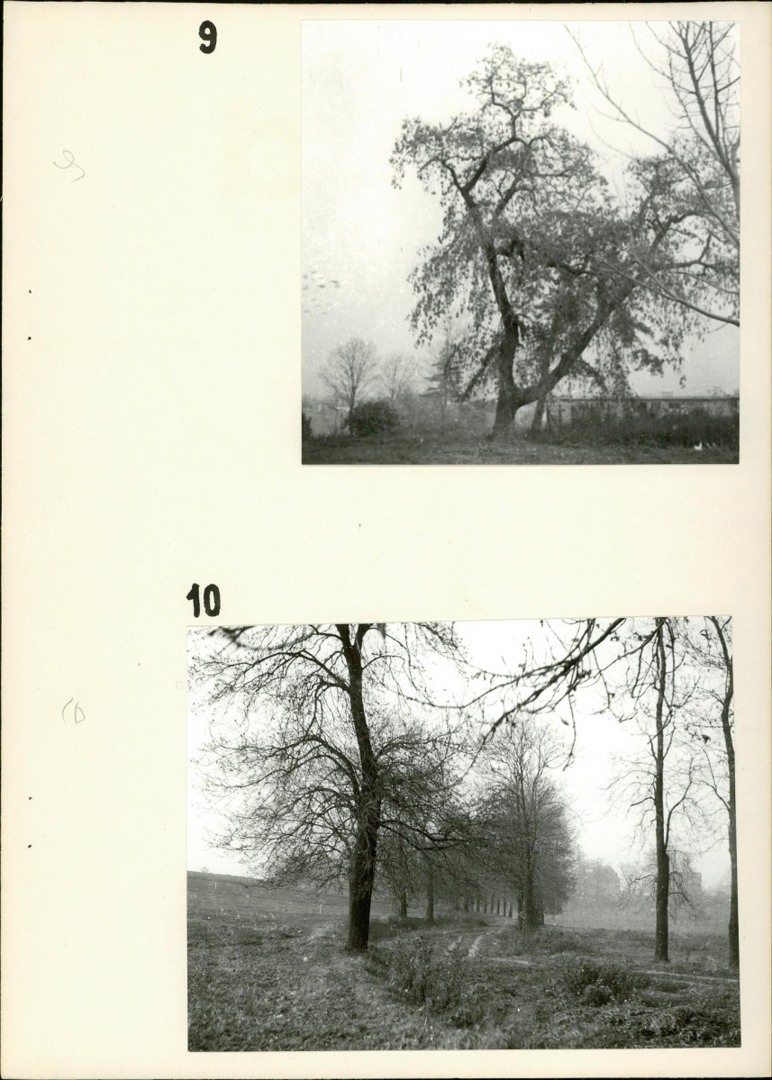 Ewidencja parkowa, skan nr 21