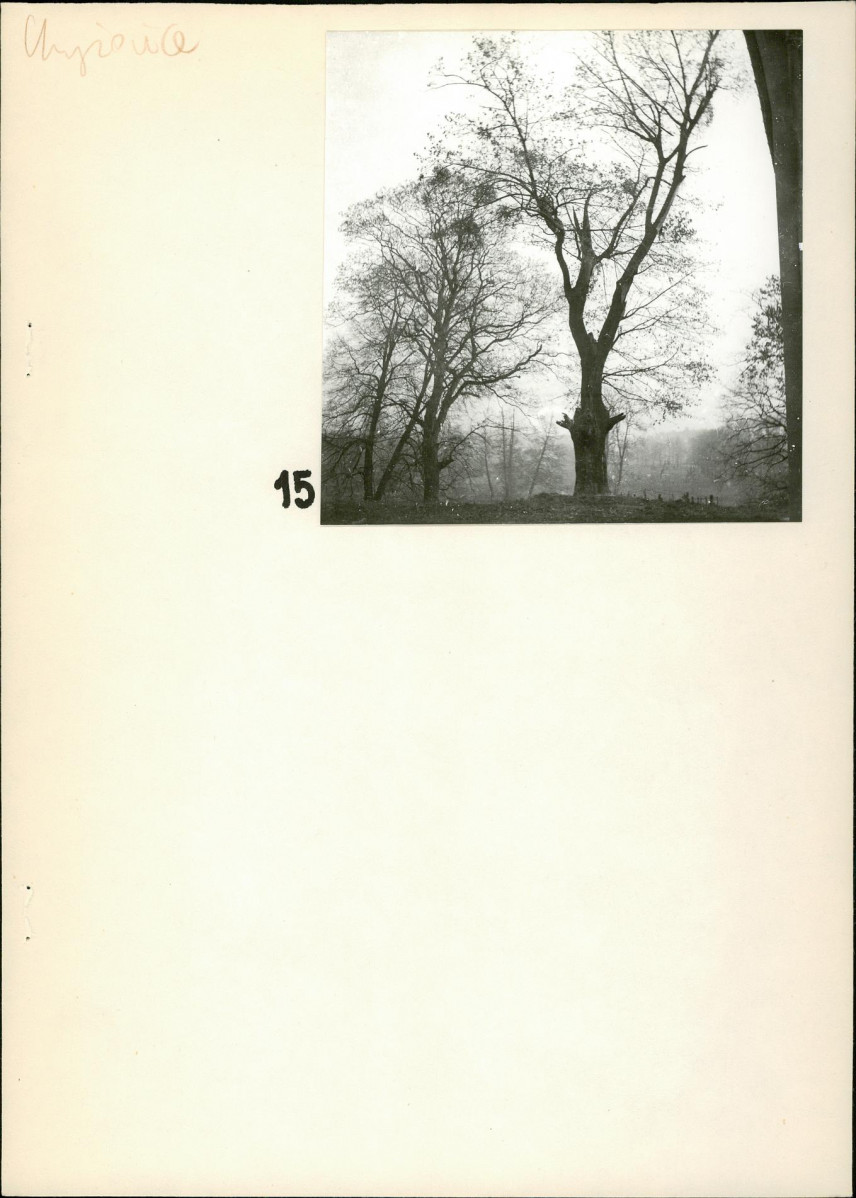 Ewidencja parkowa, skan nr 24
