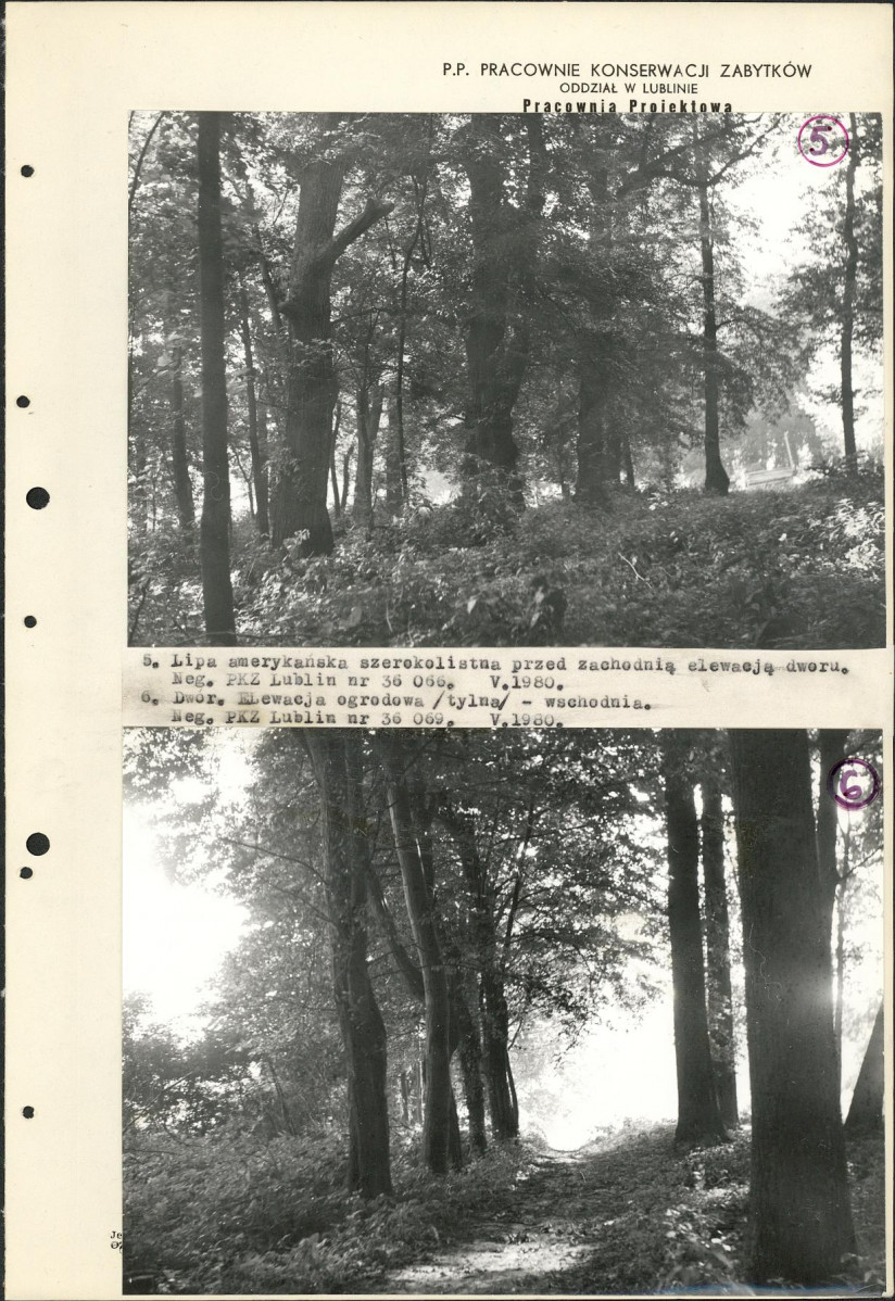 EP - Ewidencja parkowa, skan nr 28