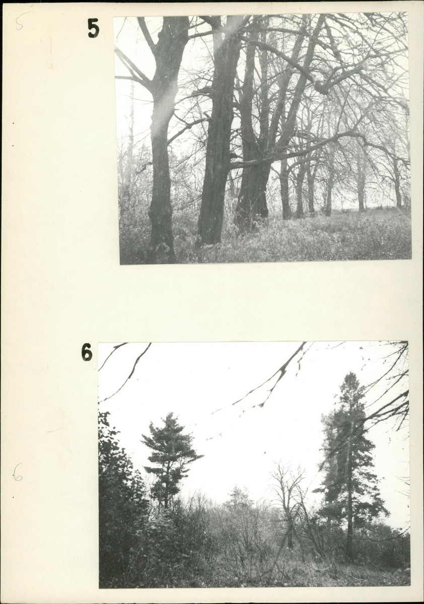 Ewidencja parkowa, skan nr 16