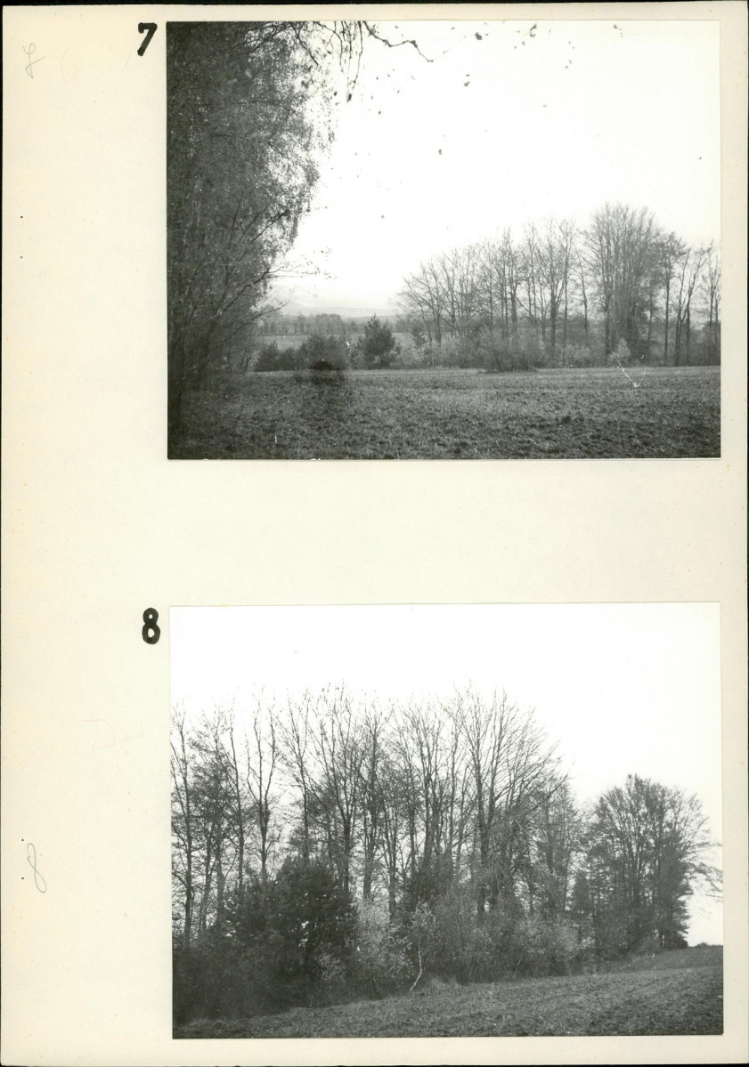 Ewidencja parkowa, skan nr 17