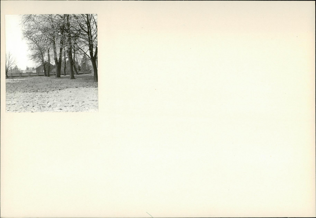 KB - Karta biała, skan nr 6