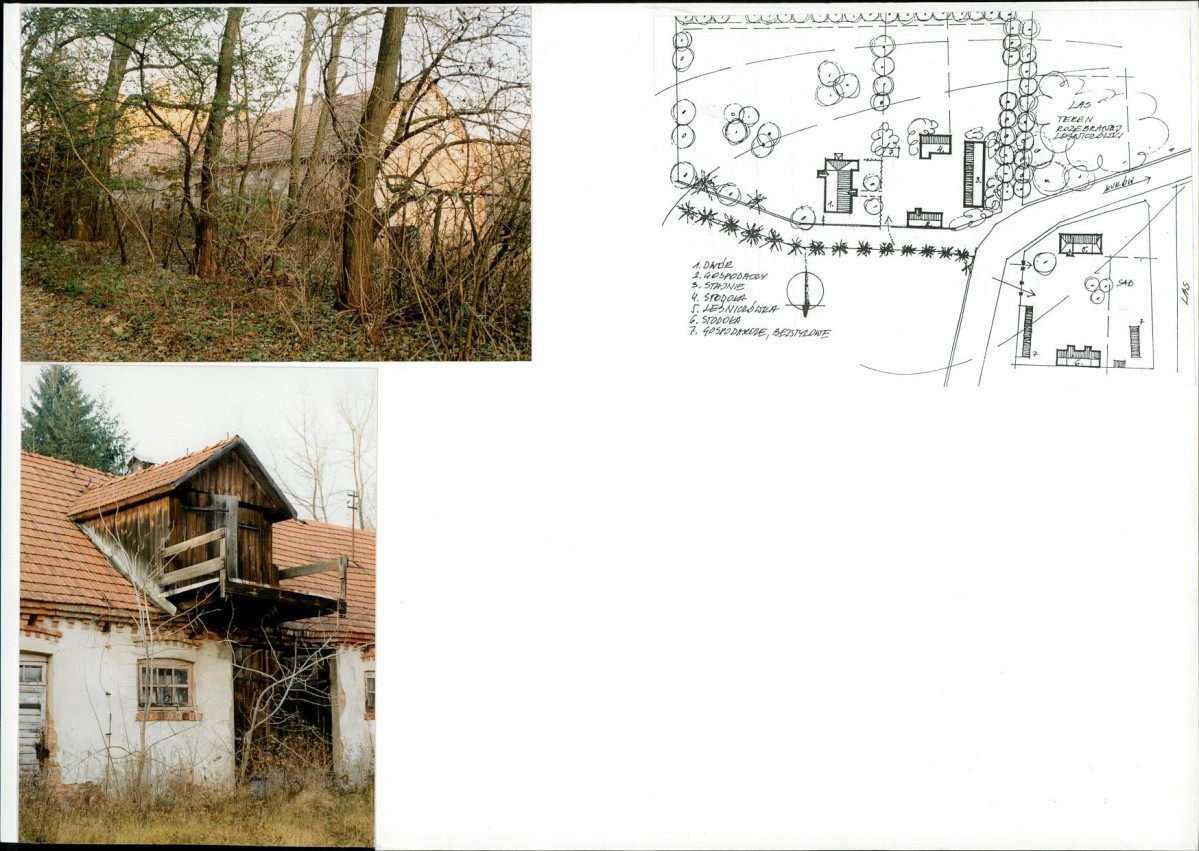 Karta biała, skan nr 6