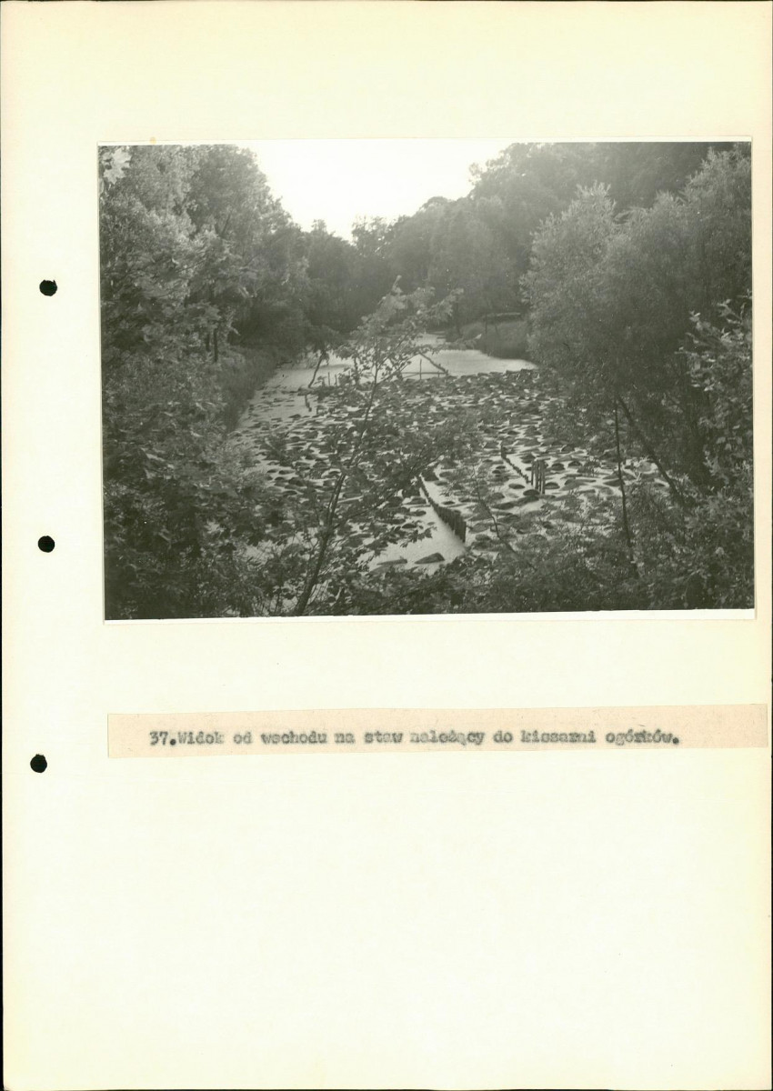 EP - Ewidencja parkowa, skan nr 69