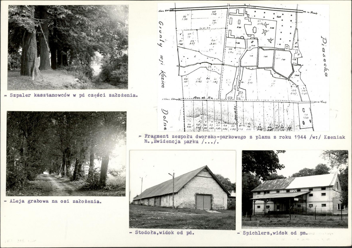 Karta biała, skan nr 6