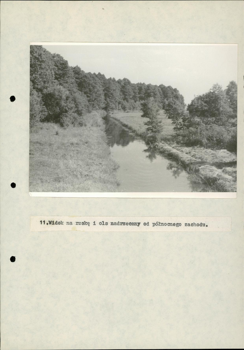 EP - Ewidencja parkowa, skan nr 34