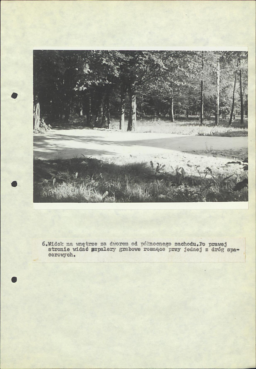 EP - Ewidencja parkowa, skan nr 37