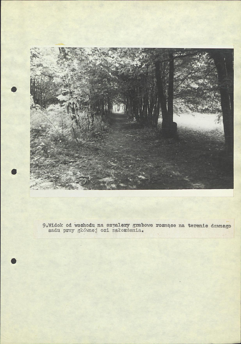 EP - Ewidencja parkowa, skan nr 40